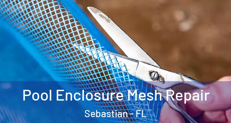  Pool Enclosure Mesh Repair Sebastian - FL
